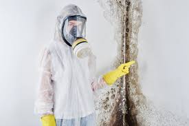 Best Mold Removal for HVAC Installations  in Sneads, FL